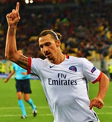 Zlatan Ibrahimović, widely considered the greatest Swedish football player of all time, is an example of the New Swedes, individuals of Swedish birth who do not have traditional Swedish surnames
