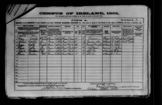 Household return form from the 1901 Census of Ireland