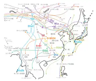 Migration map of Y-DNA haplogroups in East Asia