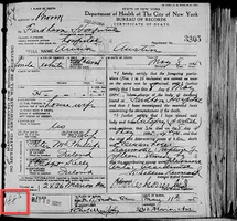 International Classification of Diseases MCPHILLIPS Anna b1887 Death Certificate 19250510