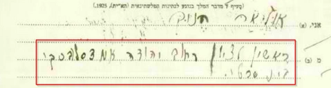 Naturalization record of Henoch Olear and Rojza Galeb Penzilber