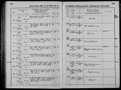 Death record of Otto Freudenberg (1844-1909)