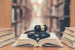 Judge gavel on book in library