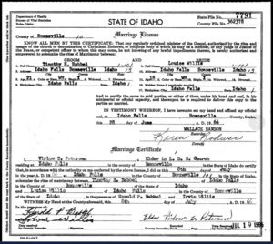 Marriage record of Timothy H. Babbel and Louise Willis - Idaho Falls, 1966