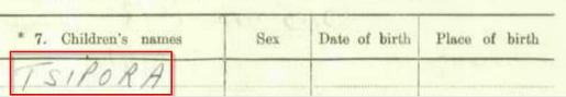 Naturalization record of Henoch Olear and Rojza Galeb Penzilber