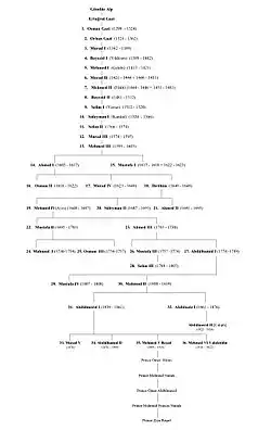Ottoman sultan's family tree, reflecting only the paternal line.
