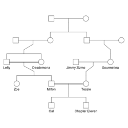 Family relations between the main characters in the novel "Middelsex" by Jeffrey Eugenides.