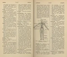 Archaic medical terms - Pope, Amy Elizabeth. A medical dictionary for nurses. New York; London G.P. Putnam's Sons, 1914