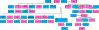 A family tree including both direct and collateral relatives