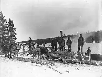 Migrant workers, lumber and horse teams, Duncan Creek, The Yukon, Canada