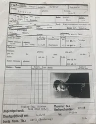 A teenage boy from Soviet Ukraine applies for immigration to Germany during WWII.