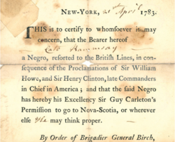 Certificate of Freedom
