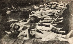 The image of the corpses of victims of the Great Terror