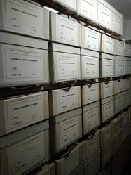 Metrical records can be found in boxes such as these at Central State Historical Archives in Kyiv, Ukraine.