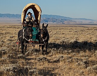 a man traveling the oregon trail blue mountain crossing