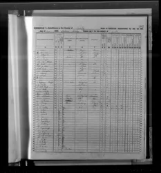 A page from the 1852 California State Census
