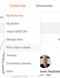 MyHeritage Family Tree Chart