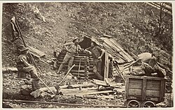 Prospectors' hut Upper Dargo
