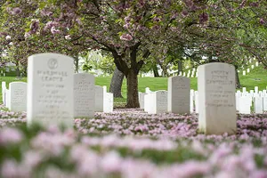 Arlington National Cemetery, headstones, cemetery