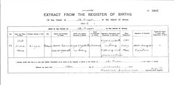 Extract of a birth record showing the father’s occupation as ‘Seaman’