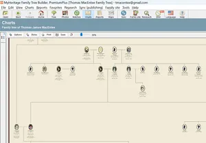 MyHeritage Family Tree Builder Chart