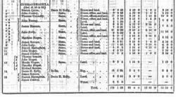government document