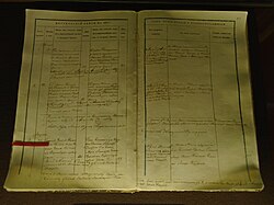 marriage record of Maria Blank and Ilya Ulyanov. 1863