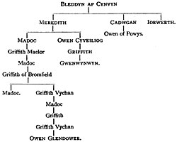 A branch in a Welsh family tree