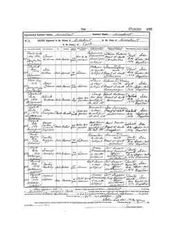 Record of the death of Johanna Noonan (1794-1874) in Millstreet, County Galway, Ireland.