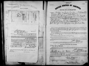 Petition for Naturalization of John Vagasy. Brooke, West Virginia, 1925.