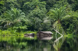 Hut at the shoreline of the Congo River
