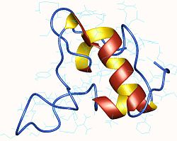 Somatomedin C, a protein produced by the liver, which stimulates the growth of many types of cells.